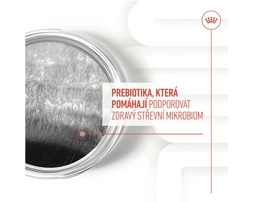 Prebiotiká, ktoré pomáhajú podporovať zdravý črevný mikrobióm.