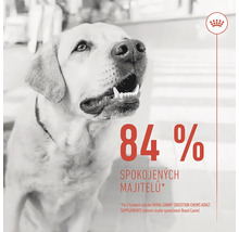 Svetlý pes s logom Royal Canin a textom: 84 percent spokojných majiteľov