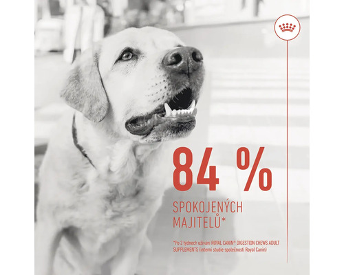 Svetlý pes s logom Royal Canin a textom: 84 percent spokojných majiteľov