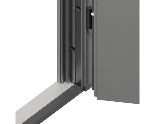 Detail dverí s rámom dverí