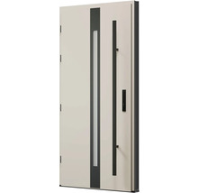 Vchodové dvere so sklenenou vložkou a držadlom