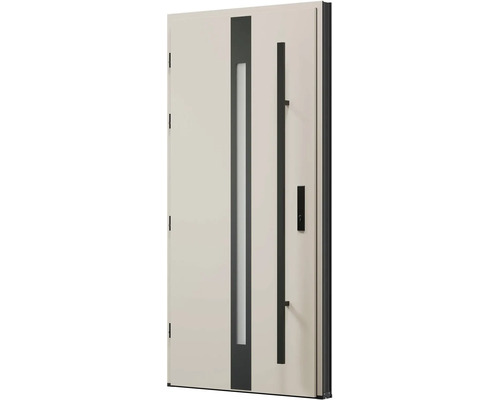 Vchodové dvere so sklenenou vložkou a držadlom