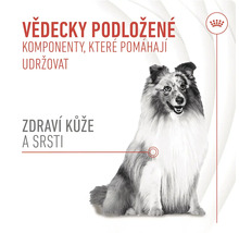 Pes s textom o zložkách pre zdravú kožu a srsť