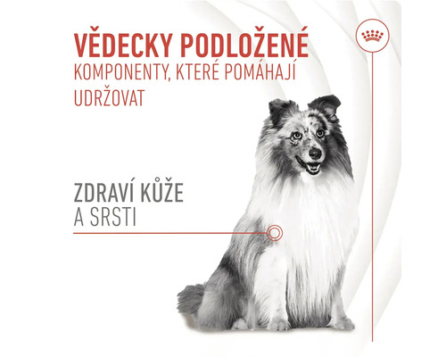 Pes s textom o zložkách pre zdravú kožu a srsť