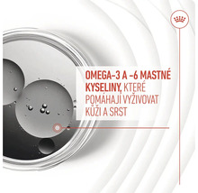 Omega-3 a omega-6 mastné kyseliny, ktoré podporujú kožu a srsť