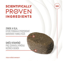 Detailný záber psieho krmiva s vedecky overenými zložkami