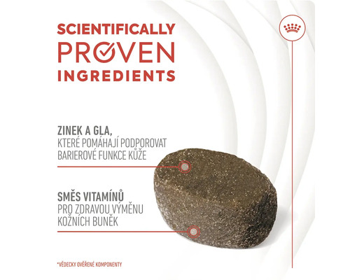 Detailný záber psieho krmiva s vedecky overenými zložkami