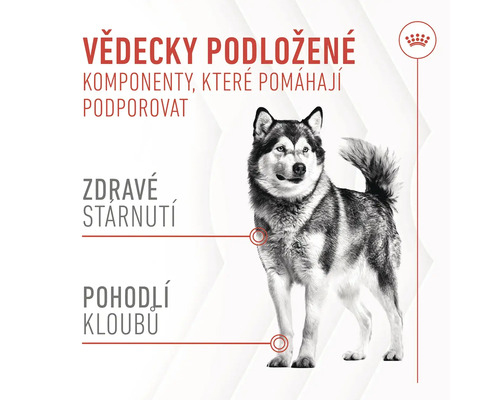 Ilustrácia podporujúca zloženie komponentov pre zdravie psov.