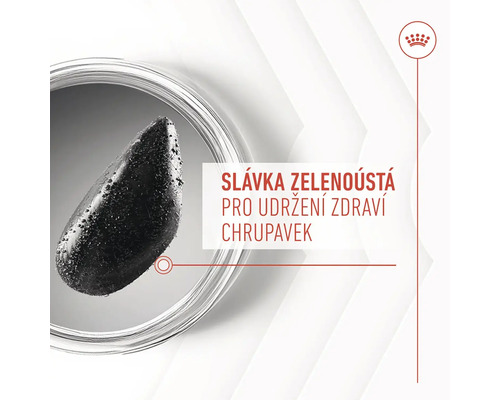 Slávka zelenoústa pre udržanie zdravia chrupaviek