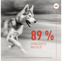 Bežiaci pes s logom Royal Canin a textom: 89 percent spokojných majiteľov