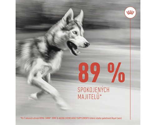 Bežiaci pes s logom Royal Canin a textom: 89 percent spokojných majiteľov