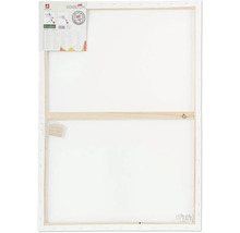 Maliarske plátno s rozmermi 60x80 cm