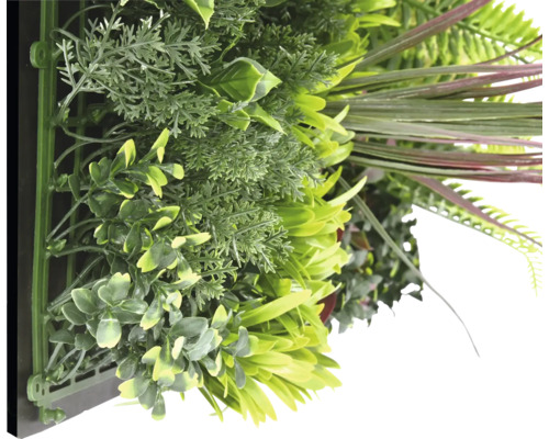 Umelá rastlinná stena s rôznymi zelenými rastlinami