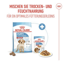 Logo Royal Canin. Balenie suchého a vlhkého krmiva pre šteňatá strednej veľkosti