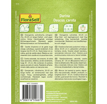 Balenie semien mrkvy Darina Daucus Carota