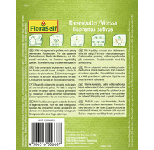 Balenie semien Riesenbutter/Vitessa Raphanus sativus