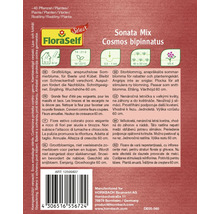 Balíček semien Sonata Mix Cosmos bipinnatus pre približne 40 rastlín