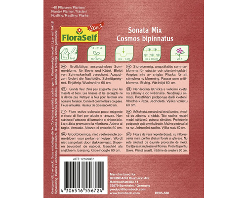 Balíček semien Sonata Mix Cosmos bipinnatus pre približne 40 rastlín
