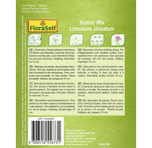 Balenie semien Statice Mix Limonium sinuatum od FloraSelf