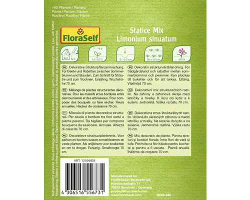 Balenie semien Statice Mix Limonium sinuatum od FloraSelf