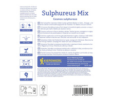 Informácie na obale semien kvetov krásky žltej