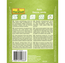 Semená mrkvy Rotin Daucus carota