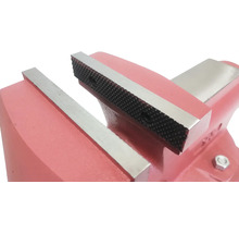 Zverák so čeľusťami