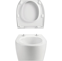 Závesné WC s hlbokým splachovaním s WC sedadlom
