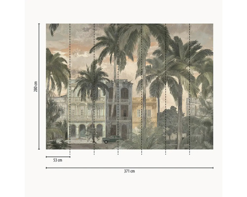 Fototapeta s palmami, koloniálnymi budovami a veteránom, rozmery 280 na 371 centimetrov, šírka pásu 53 centimetrov.