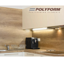 Kuchynská scéna s drezom, pracovnou doskou, hornými skrinkami a logom Polyform
