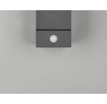 Sivé vonkajšie svetlo s pohybovým senzorom