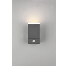 Nástenné svietidlo s detektorom pohybu