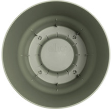 Pohľad do vnútra kvetináča Elho