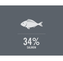 Symbol pre 34 percent podielu lososa