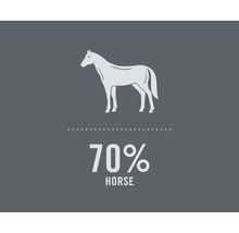 Ilustrácia koňa s textom 70 percent kôň