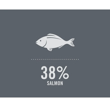 Symbolický obrázok: 38 percent lososa