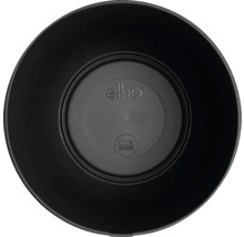 Čierny plastový kvetináč zhora