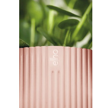 Detailný pohľad na rebrovaný kvetináč s logom Elho a rastlinami