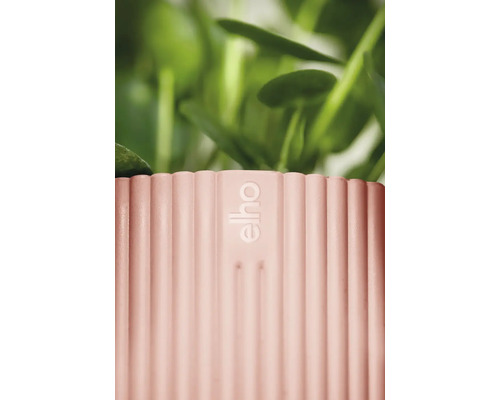 Detailný pohľad na rebrovaný kvetináč s logom Elho a rastlinami