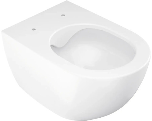 Závesná toaleta z bielej sanitárnej keramiky, bez splachovacieho okruhu, bez toaletného sedadla.