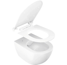 Závesné WC z bielej keramiky s odnímateľným WC sedadlom a vekom.