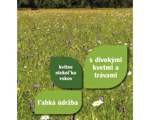 Lúka s divokými kvetmi a trávami. Textové polia informujú o viacročnom kvitnutí, zmesi divokých kvetov a jednoduchej údržbe.