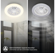 Stropný ventilátor s LED osvetlením, ventilátor a svetlo samostatne ovládateľné, montáž na strop v interiéri.