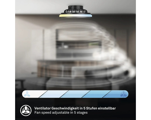 Čierny stropný ventilátor s LED svetelným kruhom, rýchlosť ventilátora nastaviteľná v piatich stupňoch, v moderne zariadenom priestore.