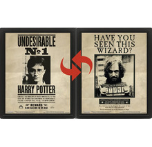 Harry Potter 3D lentikulárny plagát v čiernom ráme s meniacim sa motívom Harryho Pottera a Siriusa Blacka.