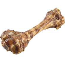 Prírodná hovädzia špiková kosť pre psov.