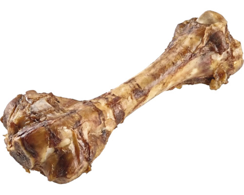 Prírodná hovädzia špiková kosť pre psov.