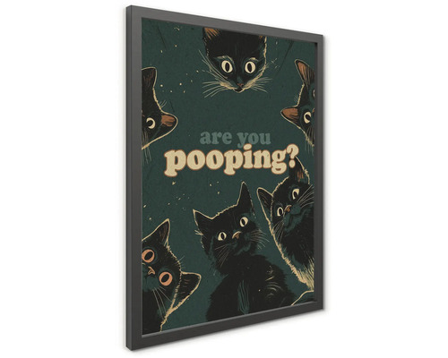 Zarámovaný obraz na stenu s ilustráciami čiernych mačiek a textom are you pooping.