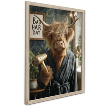 Rámovaný nástenný obraz s náhorným skotom v kockovanom župane držiacim fén, s nápisom Bad Hair Day v pozadí.