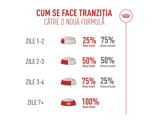 Infografika k prechodu na krmivo počas 7 dní so zvyšujúcim sa podielom nového krmiva od 25 do 100 percent. Royal Canin Logo.